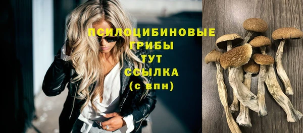 ALPHA PVP Заводоуковск