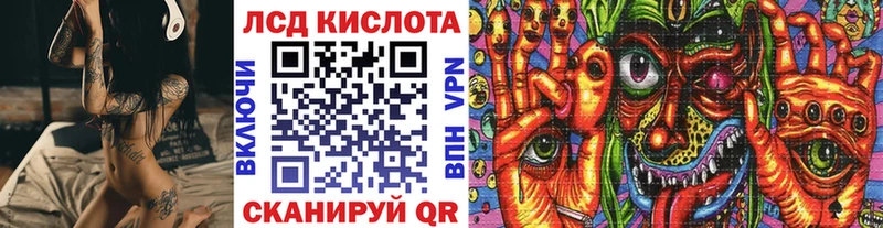 где можно купить   Сунжа  Марки NBOMe 1500мкг 