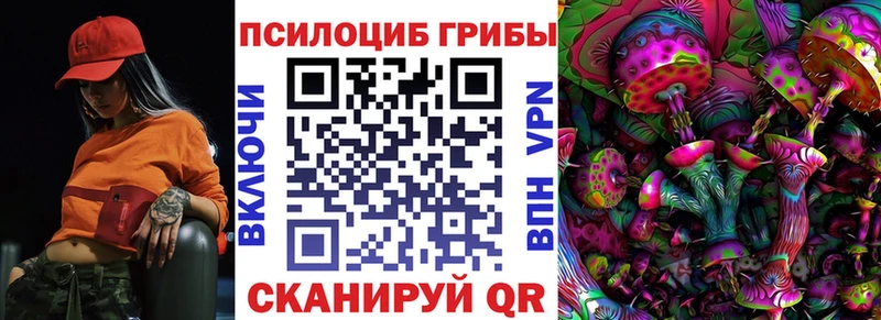 как найти   Сунжа  Галлюциногенные грибы Cubensis 